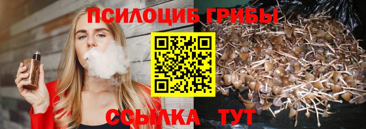 Псилоцибиновые грибы GOLDEN TEACHER Менделеевск